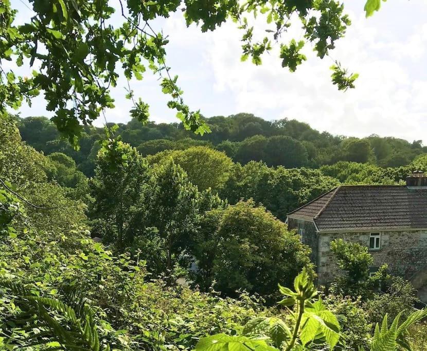 Cosy Retreat In Beautiful Cornwall هيلستون المظهر الخارجي الصورة
